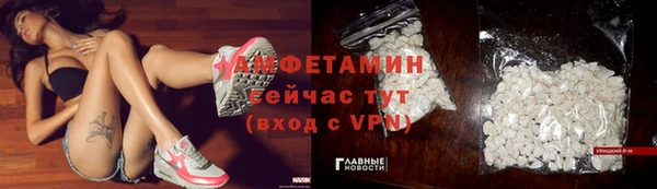 мдпв Володарск