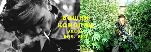 стафф Верхний Тагил